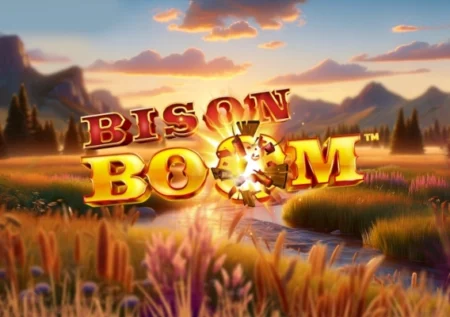 Bison Boom