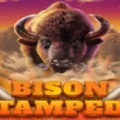 Bison Stampede