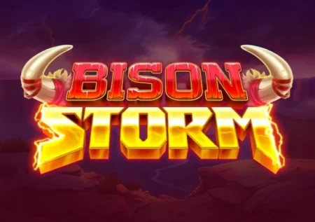 Bison Storm