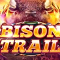 Bison Trail