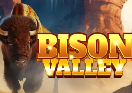 Bison Valley