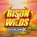 Bison Wilds DoubleMax