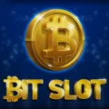 Bit Slot