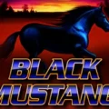 Black Mustang
