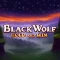 Black Wolf