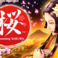 Blooming Sakura