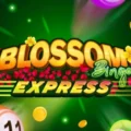 Blossom Bingo Express