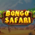Bongo Safari