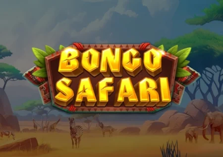 Bongo Safari