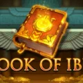 Book of Ibis