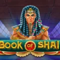 Book of Shai