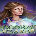 Book of Wizardry