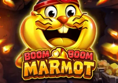 Boom Boom Marmot