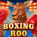 Boxing Roo