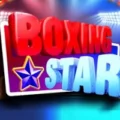 Boxing Star