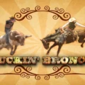 Buckin Broncos