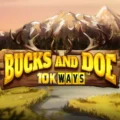 Bucks and Doe 10K Ways