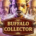 Buffalo Collector
