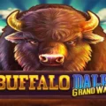Buffalo Dale Grandways