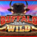 Buffalo Goes Wild