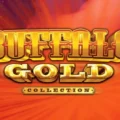 Buffalo Gold Collection