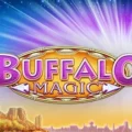Buffalo Magic