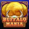 Buffalo Mania