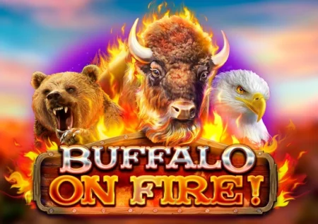 Buffalo on Fire