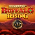 Buffalo Rising All Action Megaways