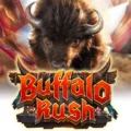 Buffalo Rush