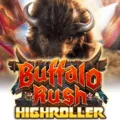 Buffalo Rush Highroller