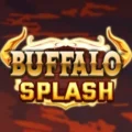 Buffalo Splash