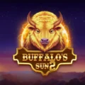 Buffalo’s Sun 2