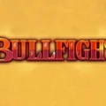 Bullfight