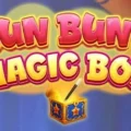 Bun Bun’s Magic Box