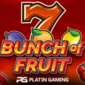 Bunch Of Fruit
