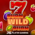 Burn Wild Burn
