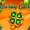 Burning Clover