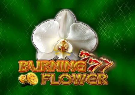 Burning Flower