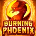Burning Phoenix