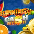 Burning Slots Cash Mesh