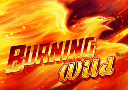 Burning Wild