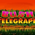 Bush Telegraph