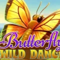 Butterfly Wild Dance