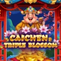 Caichen Triple Blossom
