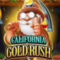 California Gold Rush