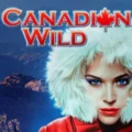 Canadian Wild