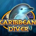 Caribbean Diver