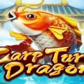 Carp Turn Dragon