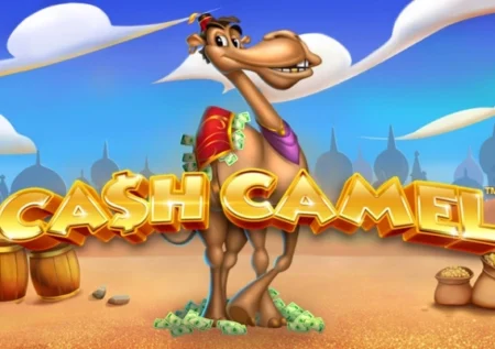 Cash Camel